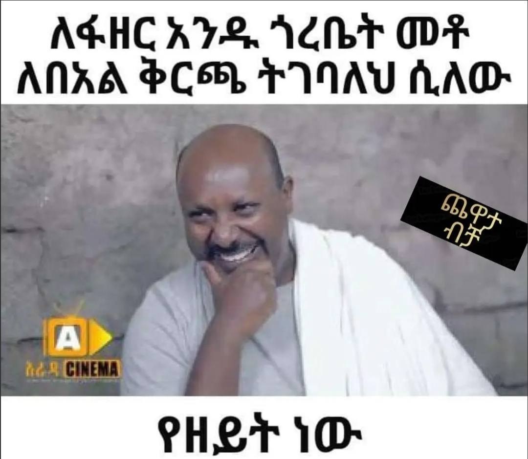ለፋዘር አንዱ ጎረቤት መቶ AGHC HTS VGA ODF